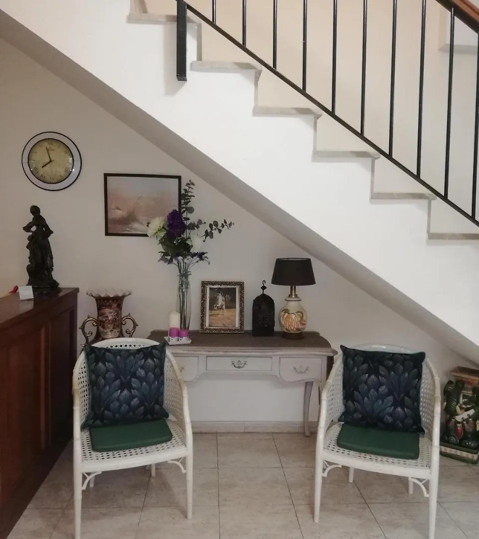 Hostal Galea Centro San Pedro de Alcantara Guest house
